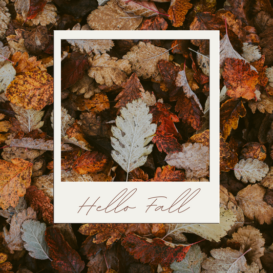 Fall Fashion Trends 2025 You Can’t Miss